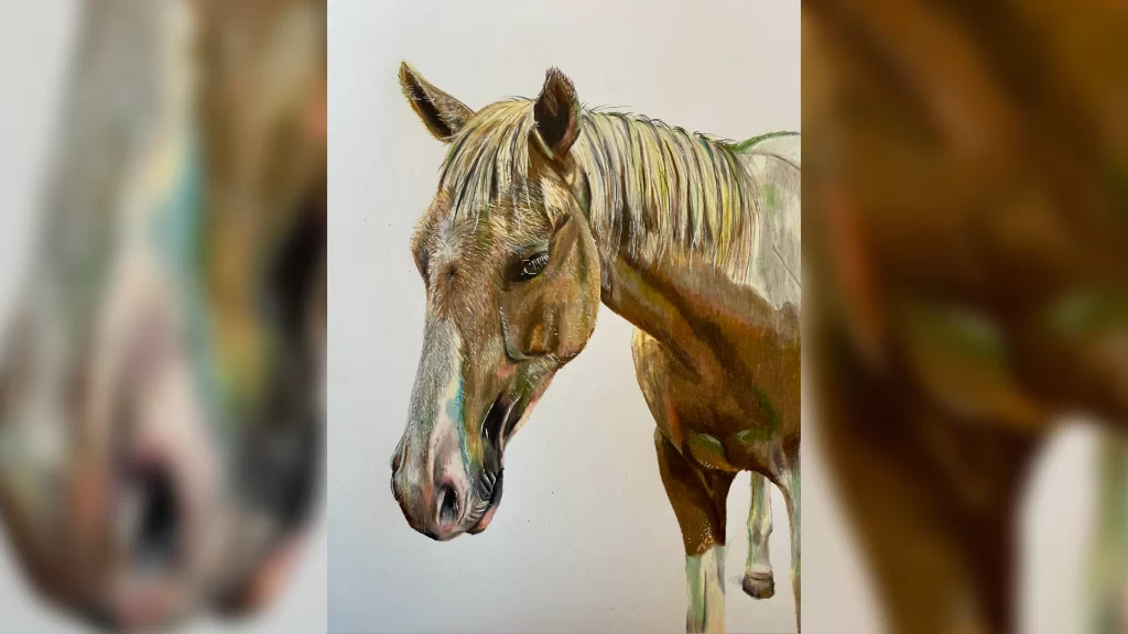 Horse sketch Poppy Baker Art